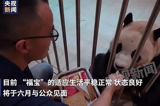 记者：申花预计今天13点23分抵达浦东机场，正好赶上“年夜饭”